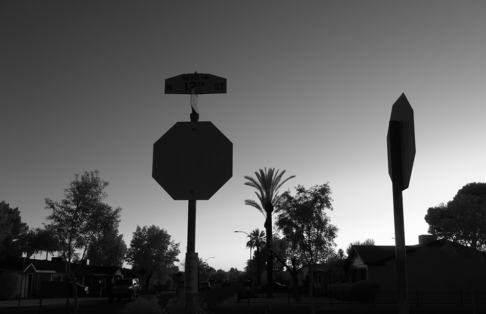Strongly Backlit and Graphic Infrared Photo of Stop Signs.
